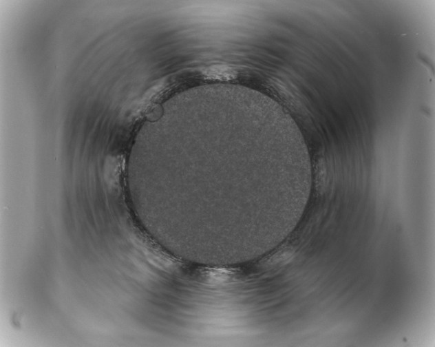 X0000102400229200808291452