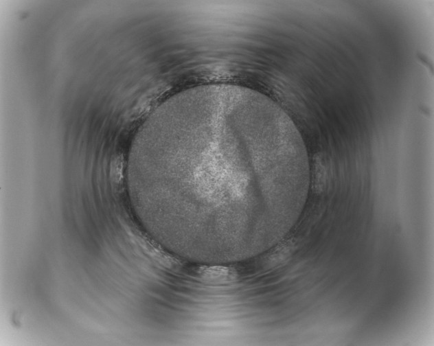 X0000102400230200808291452