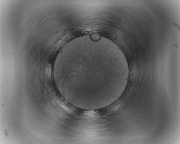 X0000102400231200808291452