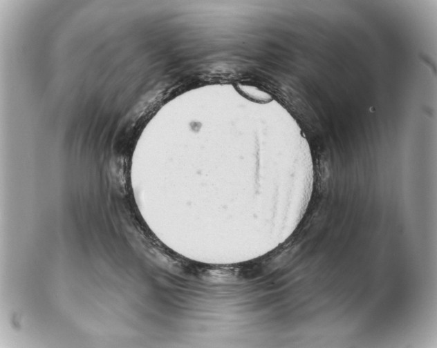 X0000102400232200808291452