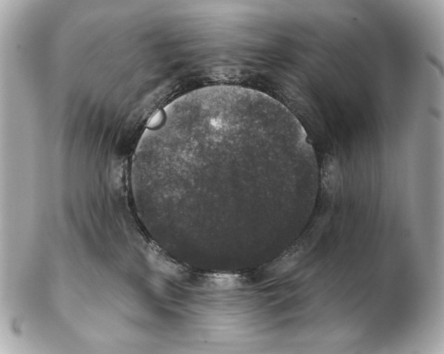 X0000102400233200808291452