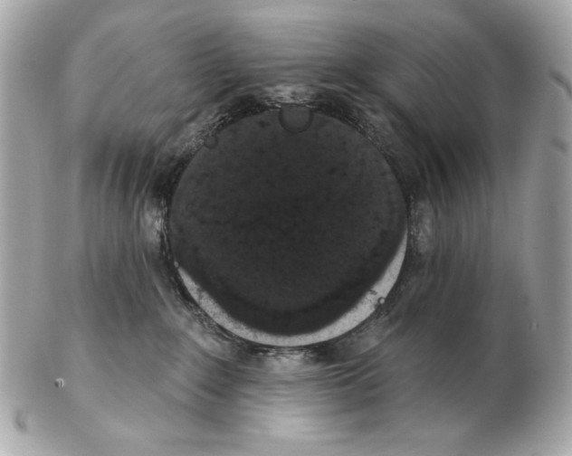 X0000102400235200808291452