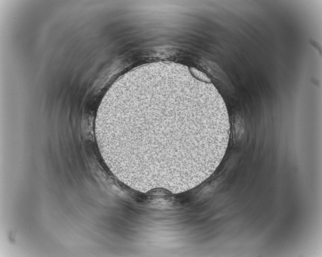 X0000102400236200808291452