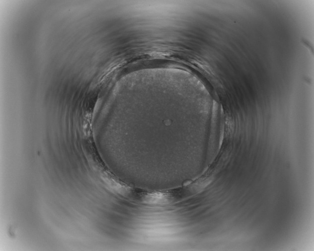 X0000102400237200808291452