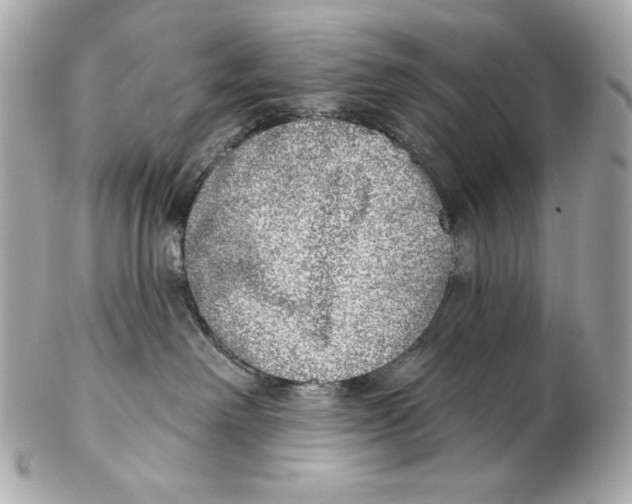 X0000102400238200808291452
