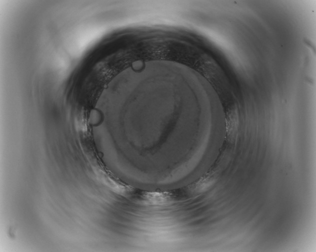 X0000102400239200808291452