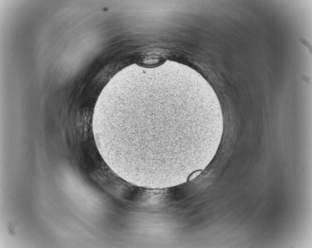 X0000102400240200808291452