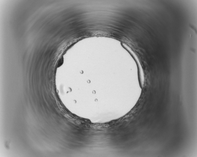 X0000102400241200808291451
