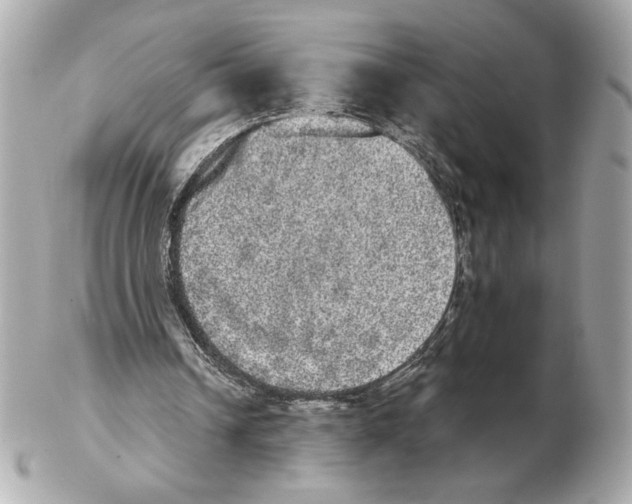 X0000102400242200808291451