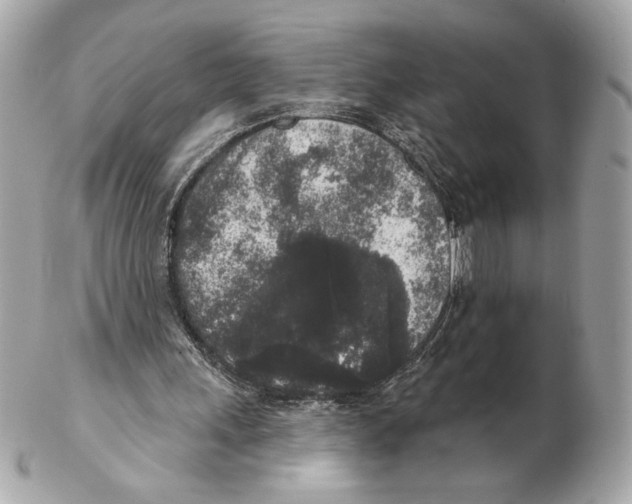 X0000102400243200808291451