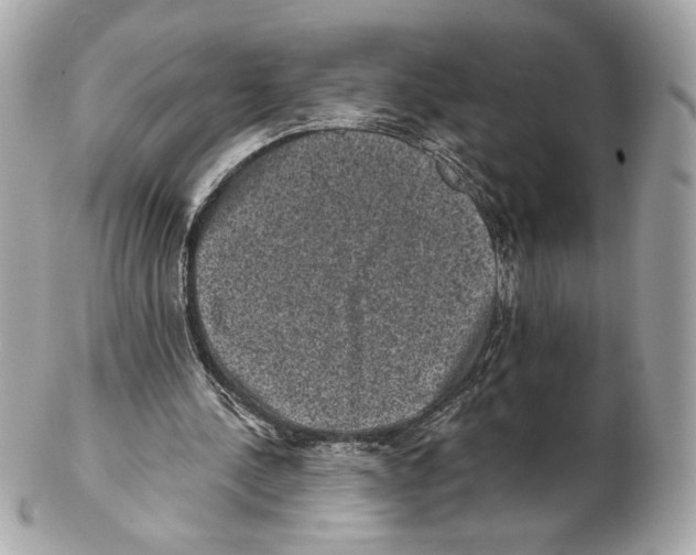 X0000102400244200808291451