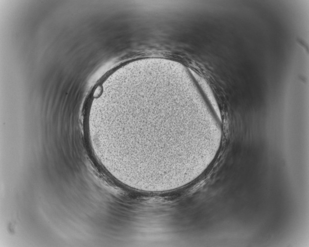 X0000102400246200808291452