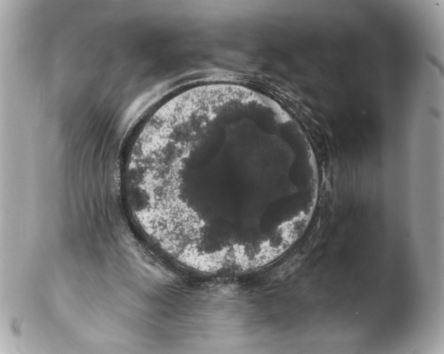 X0000102400247200808291452
