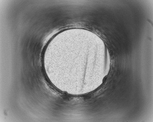X0000102400248200808291452