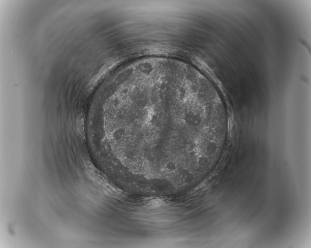 X0000102400249200808291452