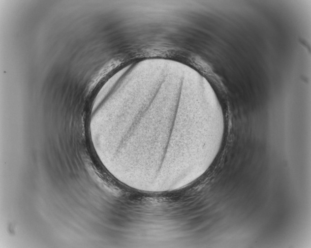 X0000102400250200808291452