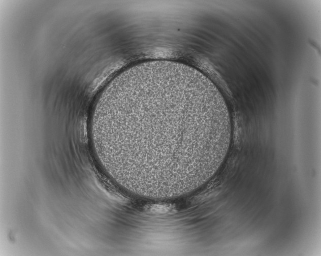X0000102400251200808291452