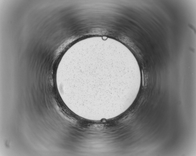 X0000102400252200808291452