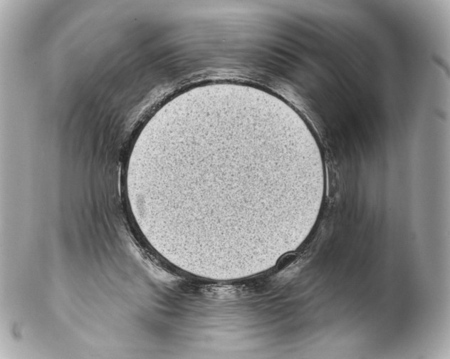 X0000102400253200808291452