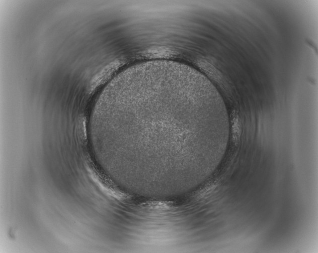 X0000102400254200808291452