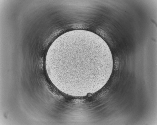 X0000102400255200808291452