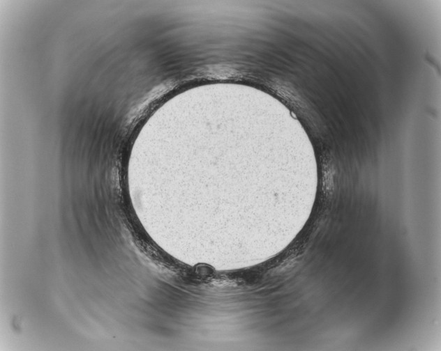 X0000102400256200808291452