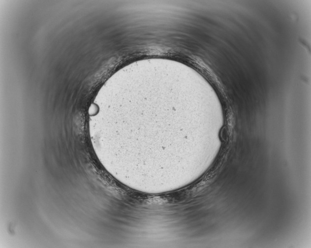 X0000102400257200808291452