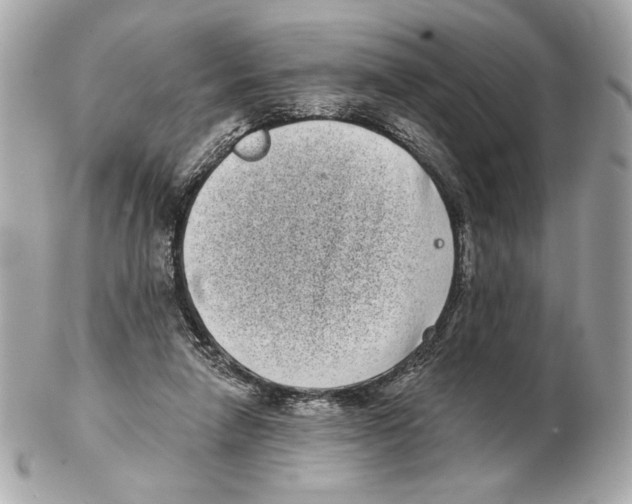 X0000102400258200808291452