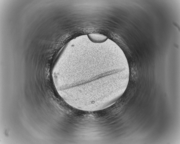 X0000102400259200808291452