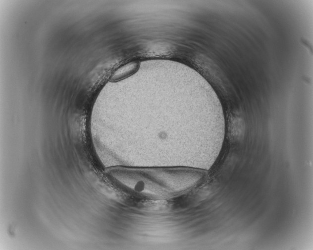 X0000102400260200808291452
