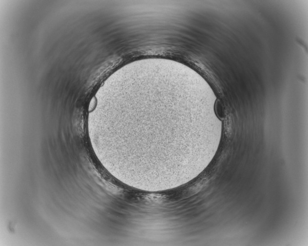 X0000102400261200808291452