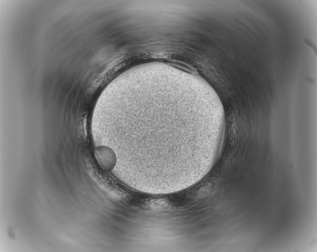 X0000102400262200808291452