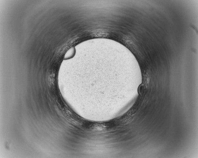 X0000102400263200808291452