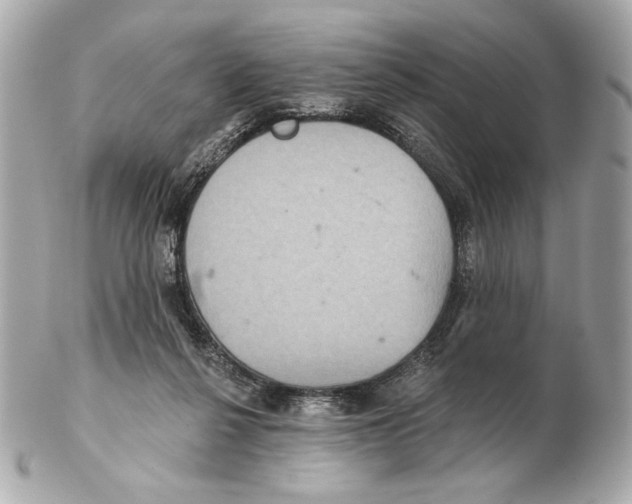 X0000102400264200808291452