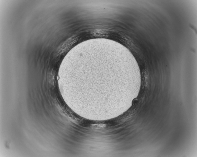 X0000102400266200808291452