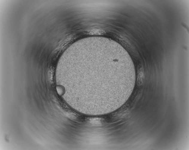 X0000102400268200808291452