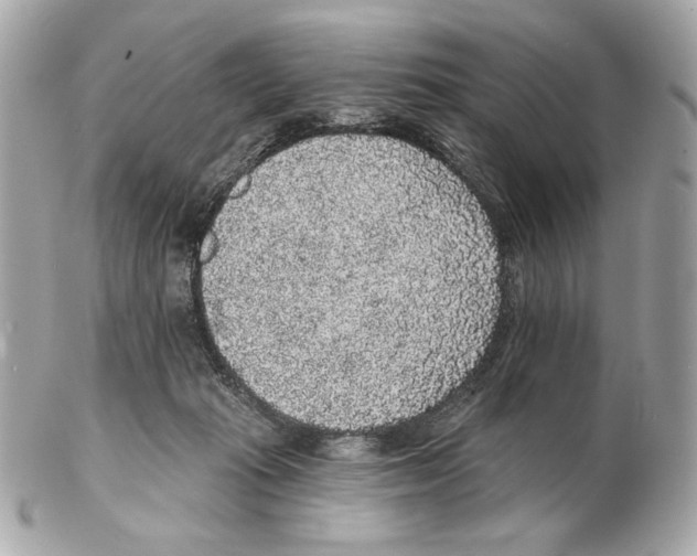X0000102400269200808291452