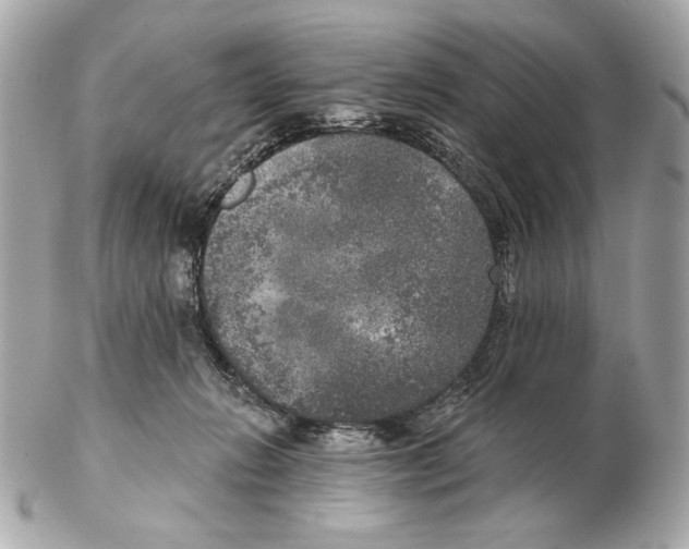 X0000102400270200808291452