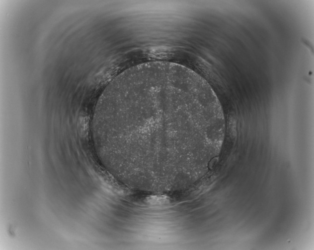 X0000102400271200808291452