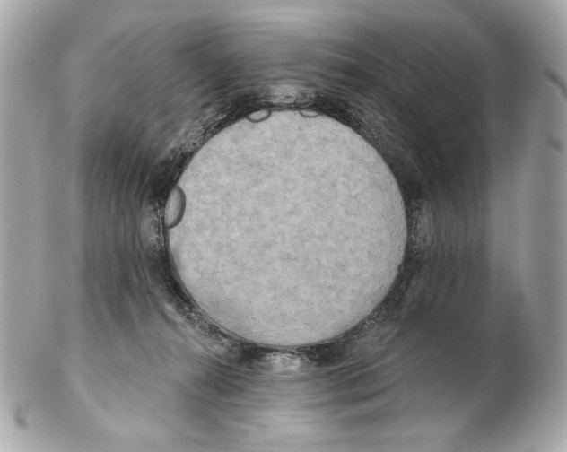 X0000102400272200808291452