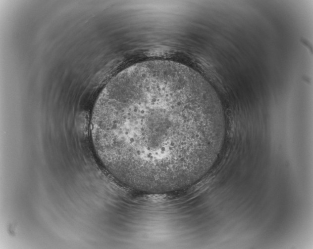 X0000102400273200808291452