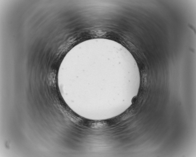 X0000102400274200808291452