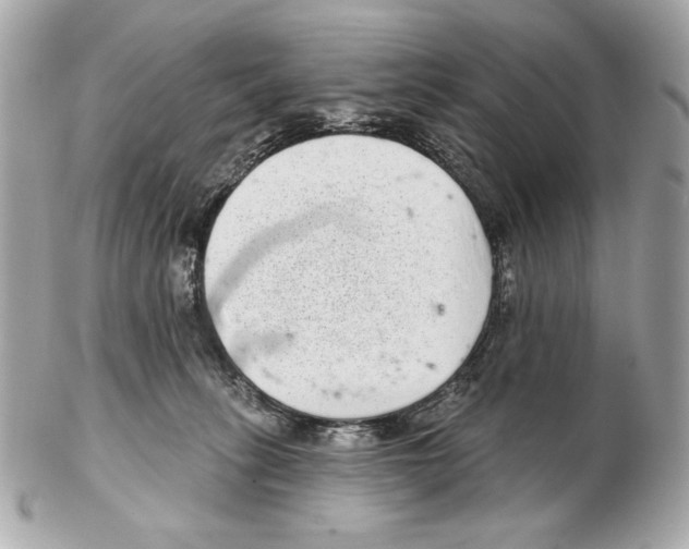 X0000102400275200808291452