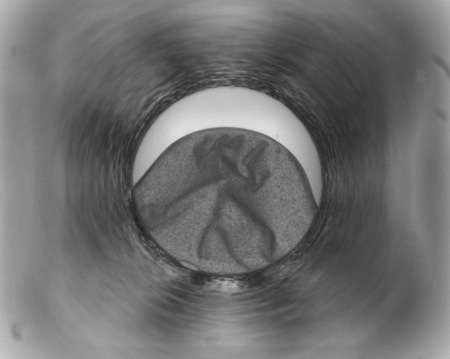 X0000102400276200808291452