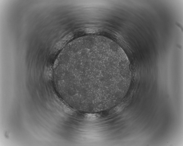 X0000102400277200808291452