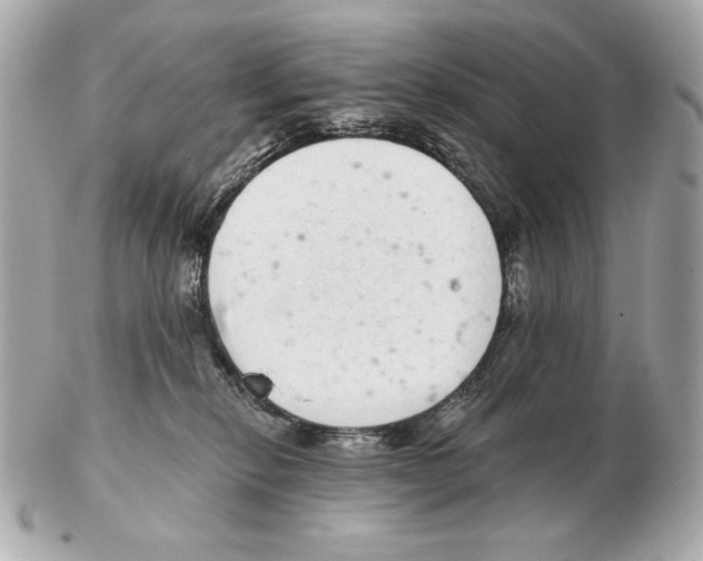 X0000102400278200808291452