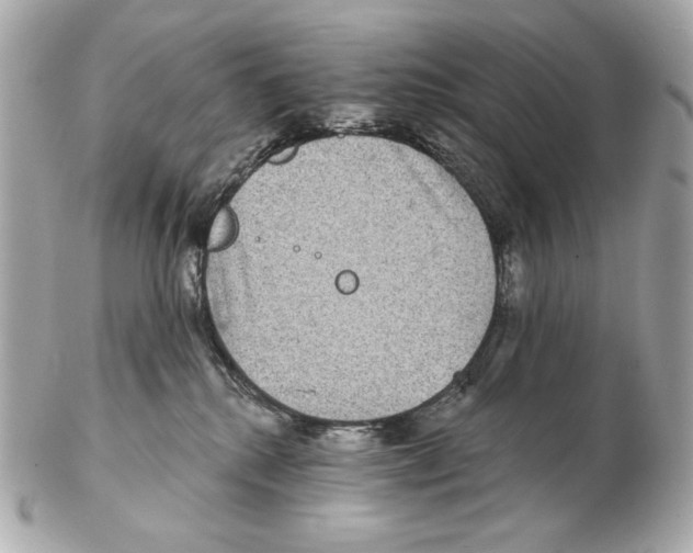 X0000102400280200808291452