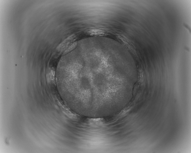 X0000102400281200808291452