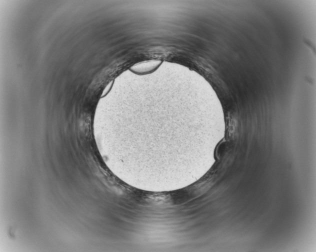 X0000102400283200808291452