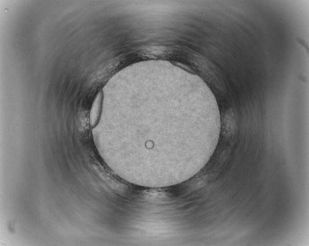 X0000102400284200808291452